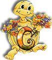 554tortue-7.jpg
