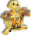554tortue-8.jpg