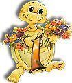 554tortue-9.jpg