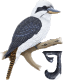 55oiseauth_A1-1_1-10.gif