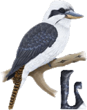 55oiseauth_A1-1_1-12.gif