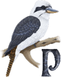 55oiseauth_A1-1_1-16.gif