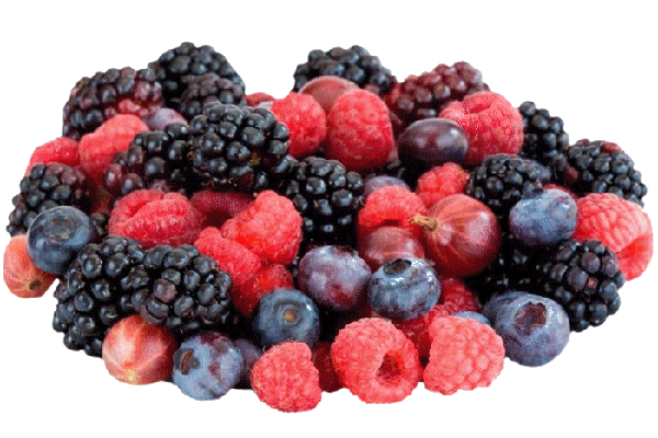 56093391728660Paprikaforestfruitsel2.png