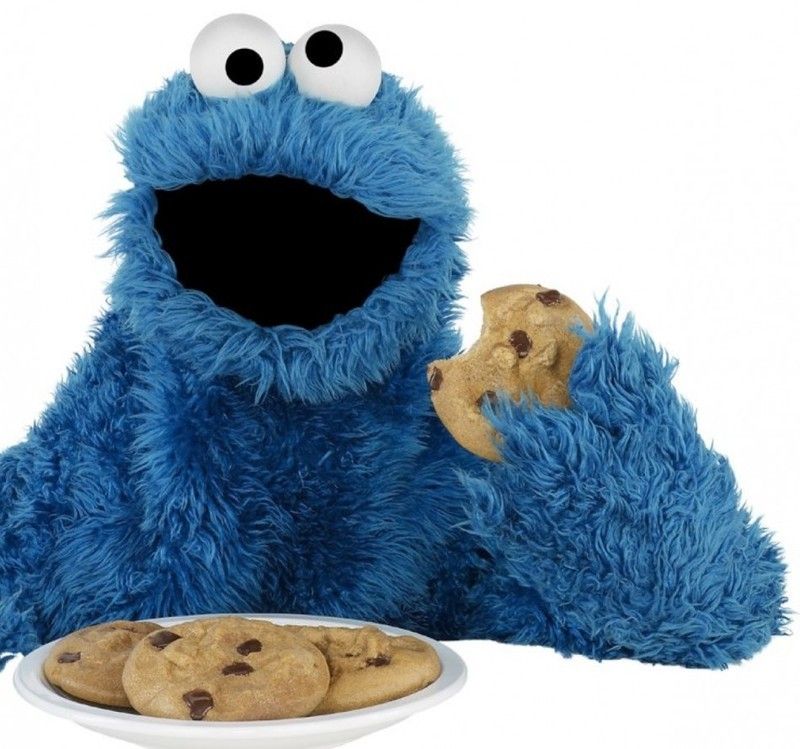 62057-cookie-monster.jpg