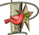 65445oiseaux-16.png