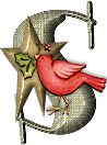 65445oiseaux-19.png