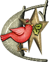 65445oiseaux-3.png