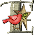 65445oiseaux-5.png