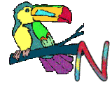 6656-perrroquet-14.gif