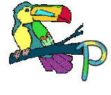 6656-perrroquet-16.gif