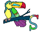 6656-perrroquet-19.gif