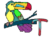 6656-perrroquet-20.gif