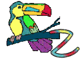 6656-perrroquet-23.gif