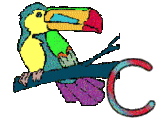 6656-perrroquet-3.gif