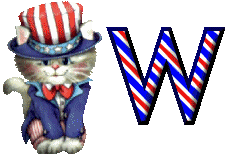 66565cat-23.gif
