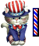 66565cat-9.gif