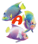 6656poisson-1.gif