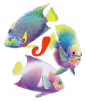 6656poisson-10.gif