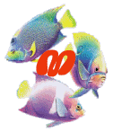 6656poisson-13.gif