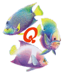 6656poisson-17.gif