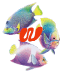 6656poisson-23.gif