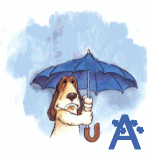 77-nuage-1.gif