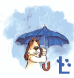 77-nuage-12.gif