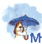 77-nuage-13.gif