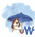 77-nuage-23.gif