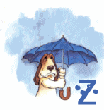 77-nuage-26.gif