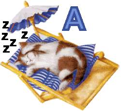7766767cat-1.gif