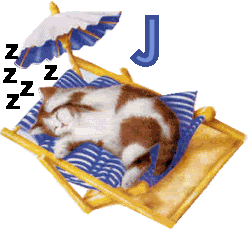 7766767cat-10.gif