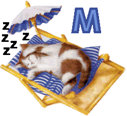 7766767cat-13.gif