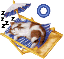 7766767cat-15.gif