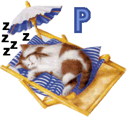 7766767cat-16.gif