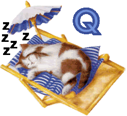 7766767cat-17.gif