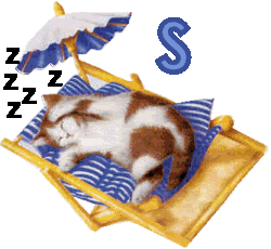 7766767cat-19.gif