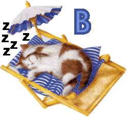 7766767cat-2.gif