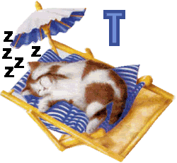 7766767cat-20.gif
