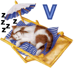 7766767cat-22.gif