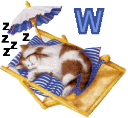 7766767cat-23.gif