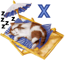 7766767cat-24.gif