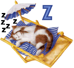 7766767cat-26.gif