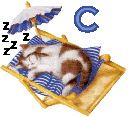 7766767cat-3.gif