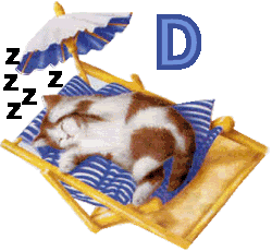 7766767cat-4.gif