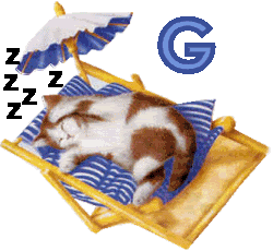7766767cat-7.gif