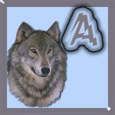 7777-wolf-1.jpg