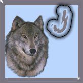 7777-wolf-10.jpg
