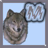 7777-wolf-13.jpg