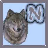 7777-wolf-14.jpg